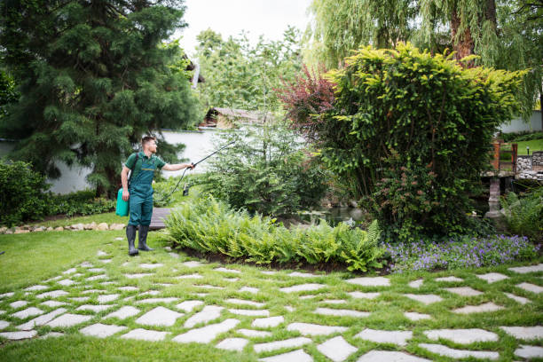 Professional Pest Control in Adel, GA