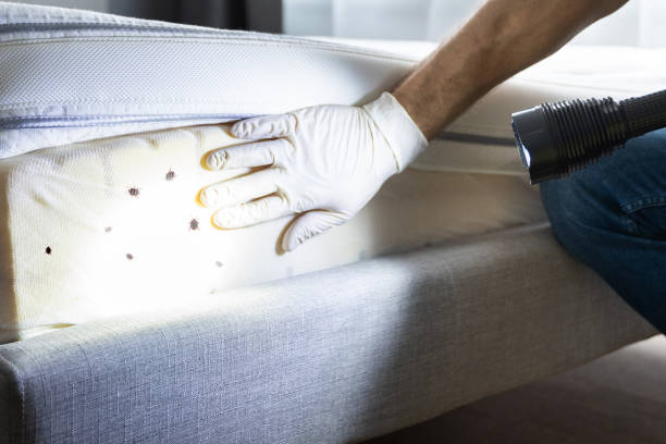 Professional Pest Control in Adel, GA