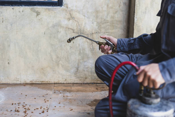 Best Wasp Removal Services  in Adel, GA